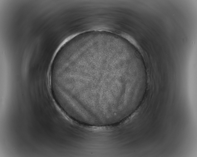 X0000085251032200703301806