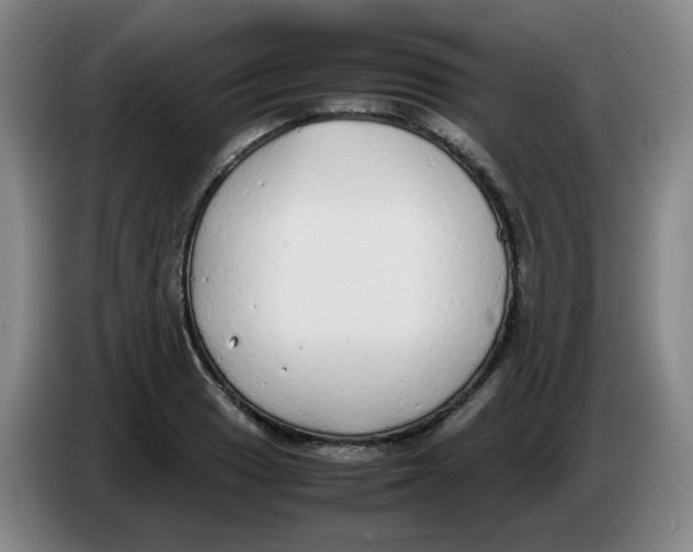 X0000085251033200703301806