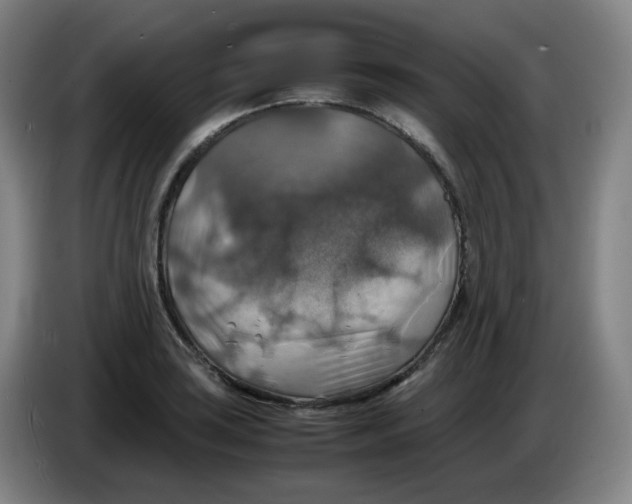 X0000085251035200703301806