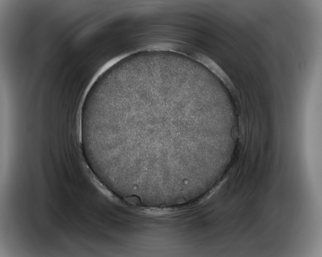 X0000085251036200703301806