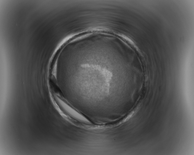 X0000085251038200703301806