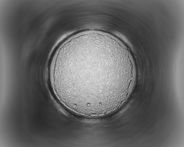 X0000085251040200703301806