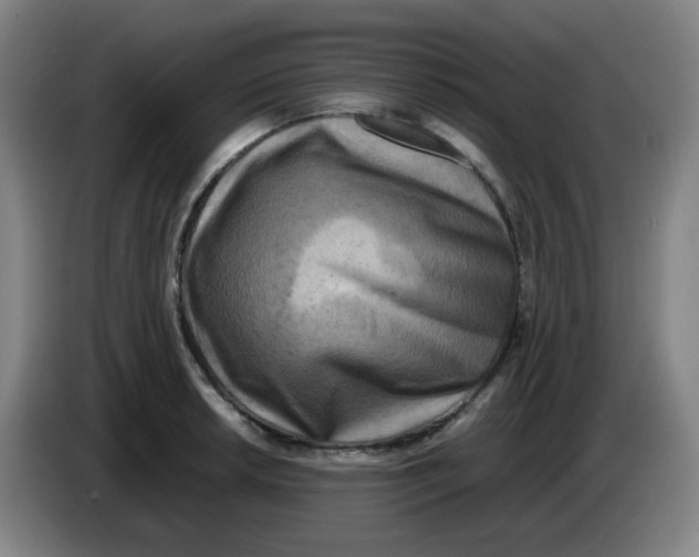 X0000085251042200703301806