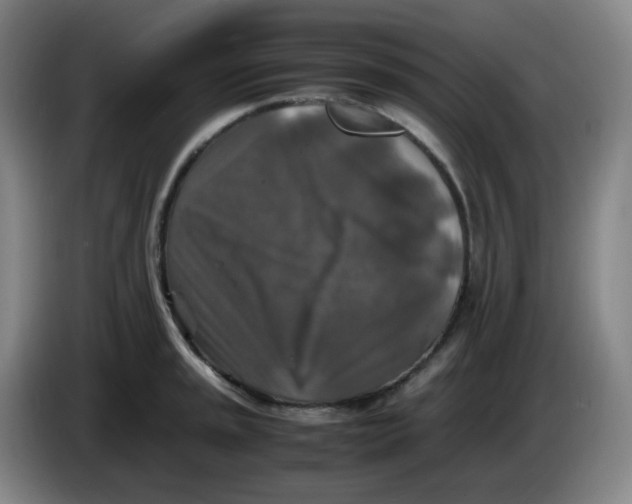 X0000085251045200703301806