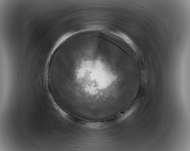 X0000085251046200703301806