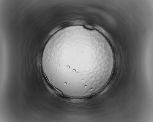 X0000085251049200703301806