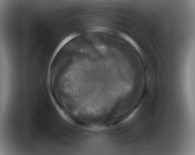 X0000085251050200703301806