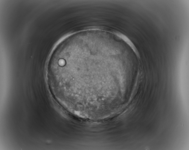 X0000085251051200703301806