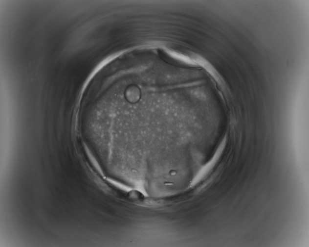 X0000085251052200703301806