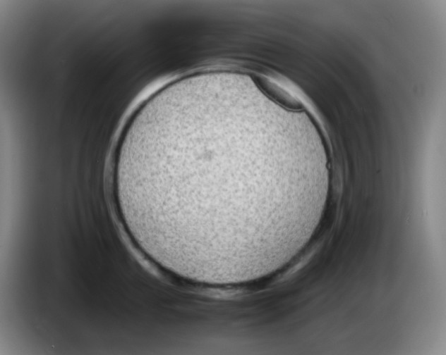 X0000085251053200703301806