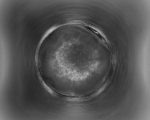 X0000085251054200703301806