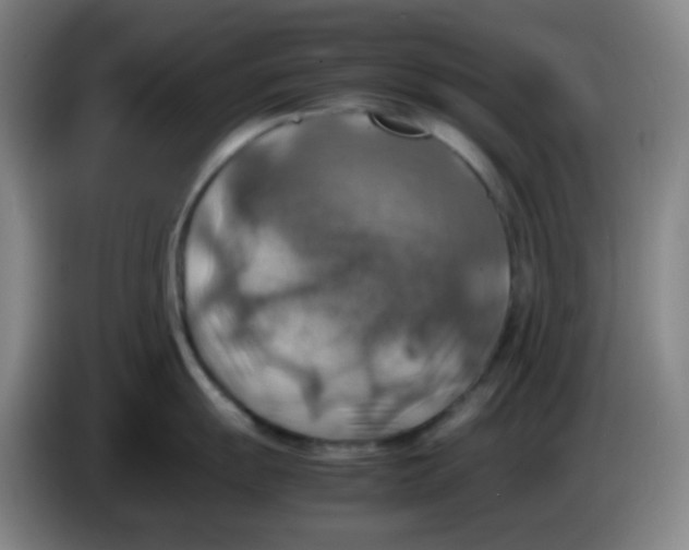 X0000085251055200703301806