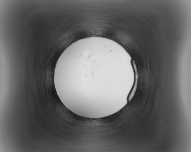 X0000085251058200703301805