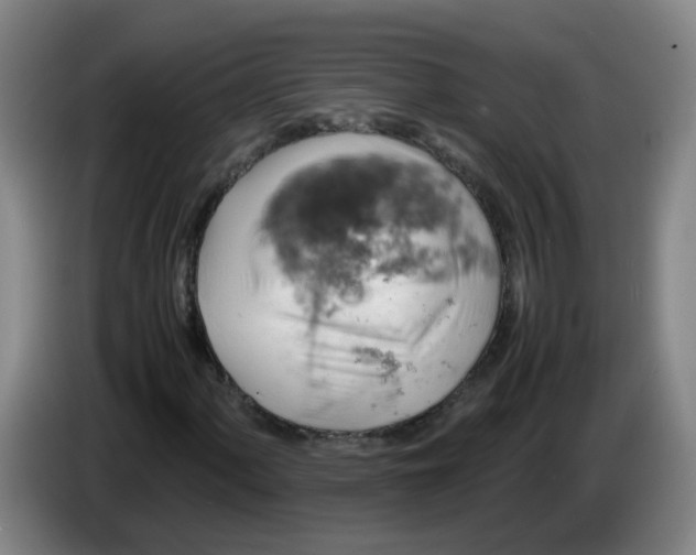 X0000085251060200703301805