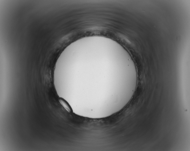 X0000085251062200703301805