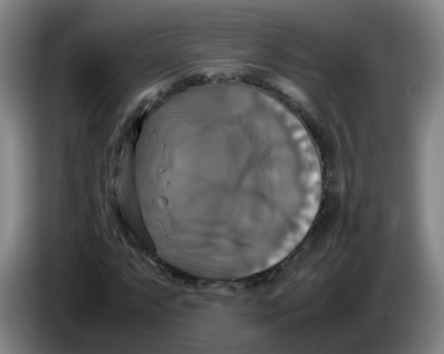 X0000085251063200703301805