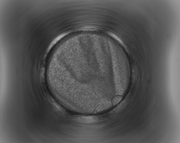 X0000085251066200703301805