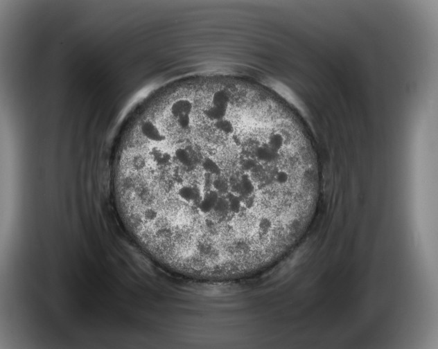 X0000085251067200703301805