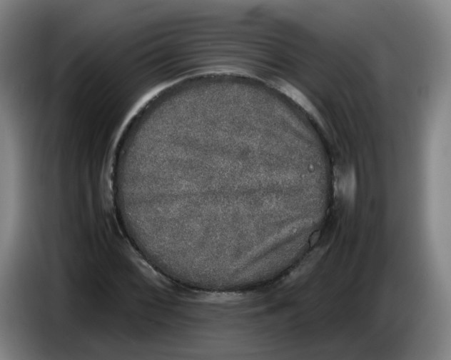 X0000085251068200703301805