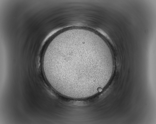 X0000085251070200703301805