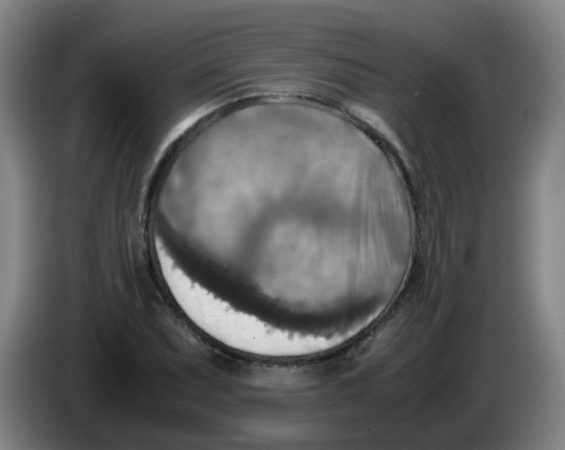 X0000085251071200703301805