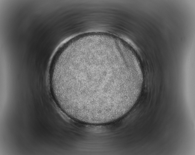 X0000085251072200703301805