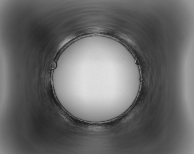 X0000085251073200703301805