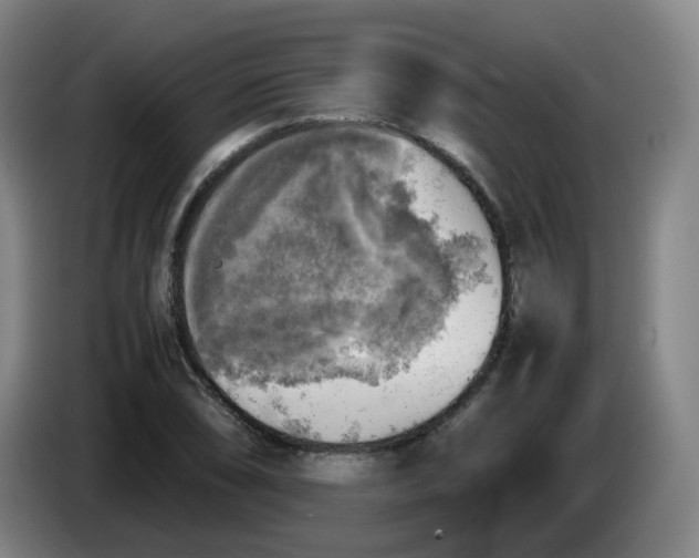 X0000085251074200703301805