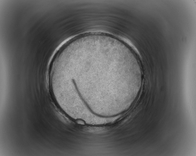 X0000085251076200703301805