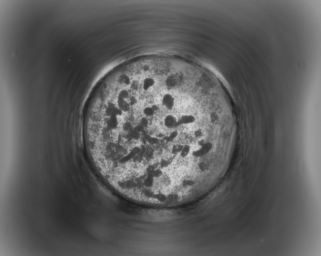 X0000085251079200703301805