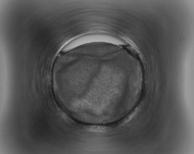 X0000085251081200703301805