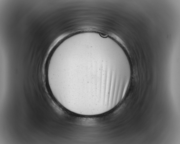 X0000085251082200703301805