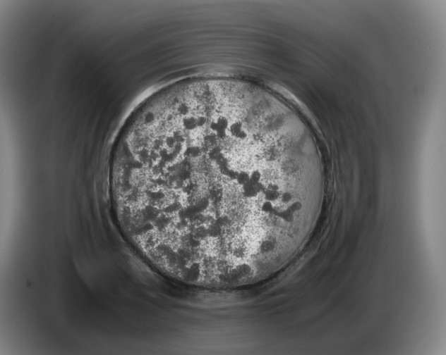 X0000085251083200703301805