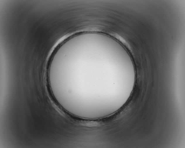 X0000085251085200703301805