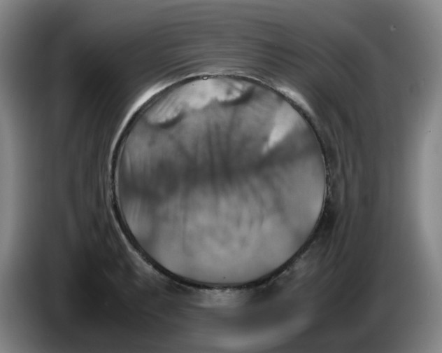 X0000085251087200703301805