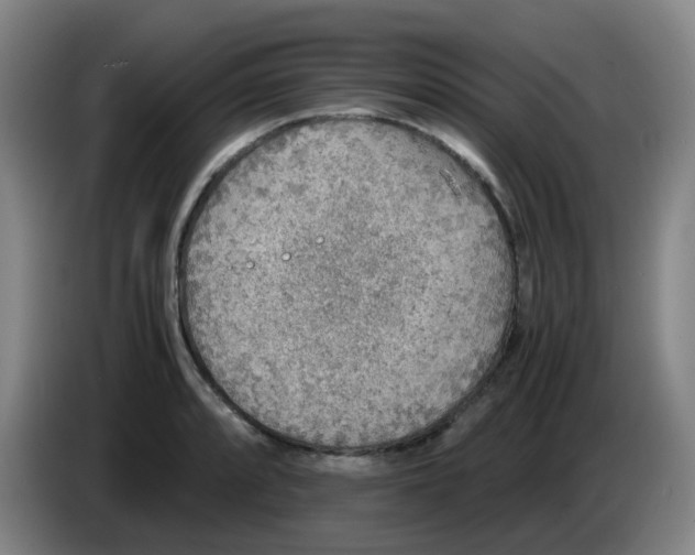 X0000085251088200703301805