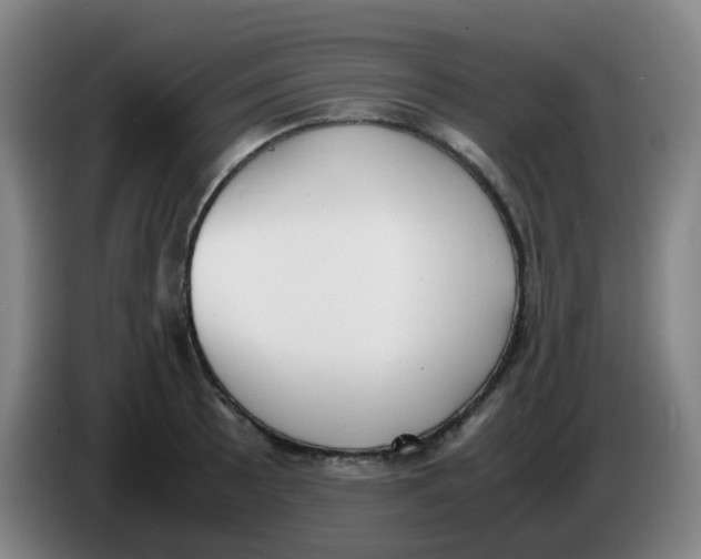 X0000085251089200703301805