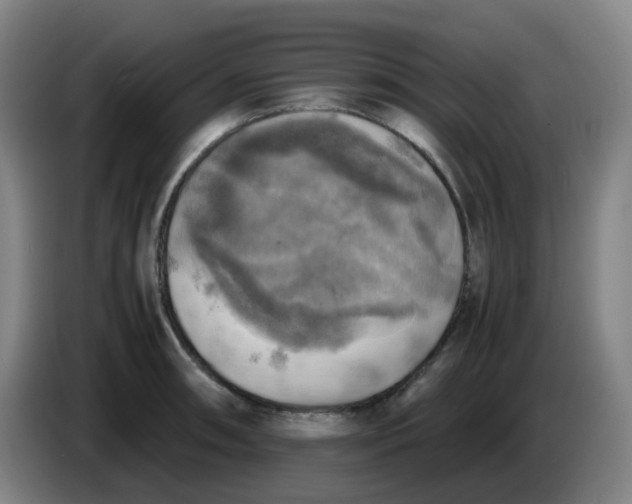 X0000085251090200703301805