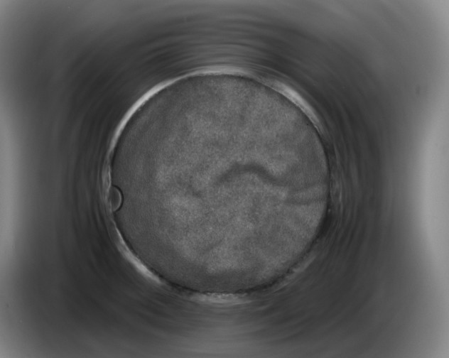 X0000085251092200703301805