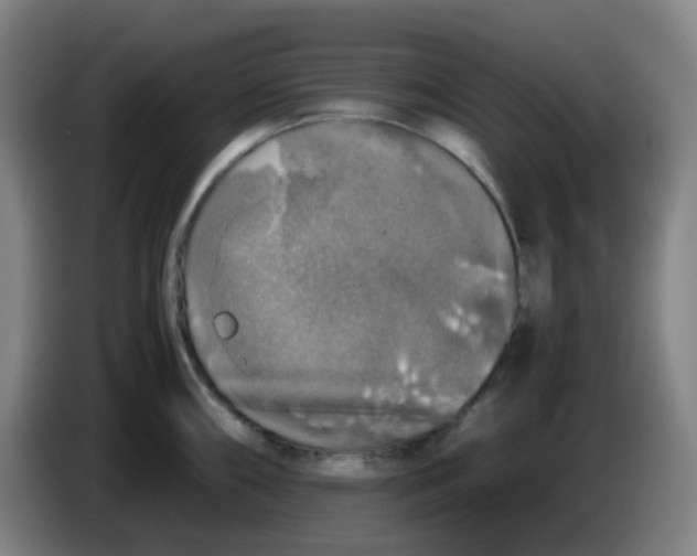 X0000085251098200703301805