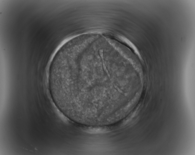 X0000085251099200703301805