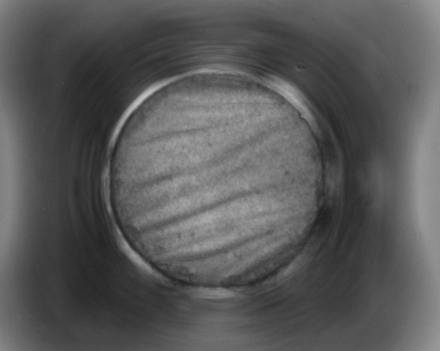 X0000085251100200703301805