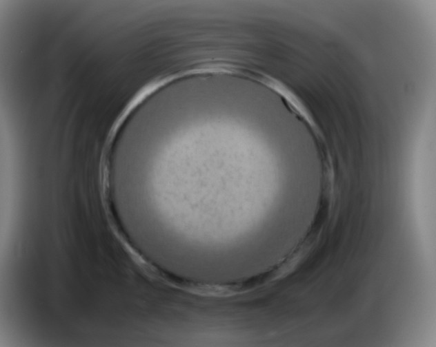 X0000085251101200703301805