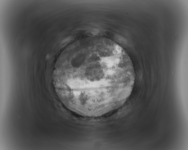 X0000085251105200703301804