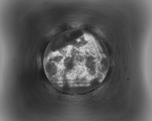 X0000085251106200703301804