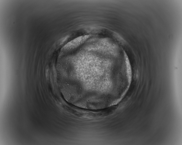 X0000085251108200703301804