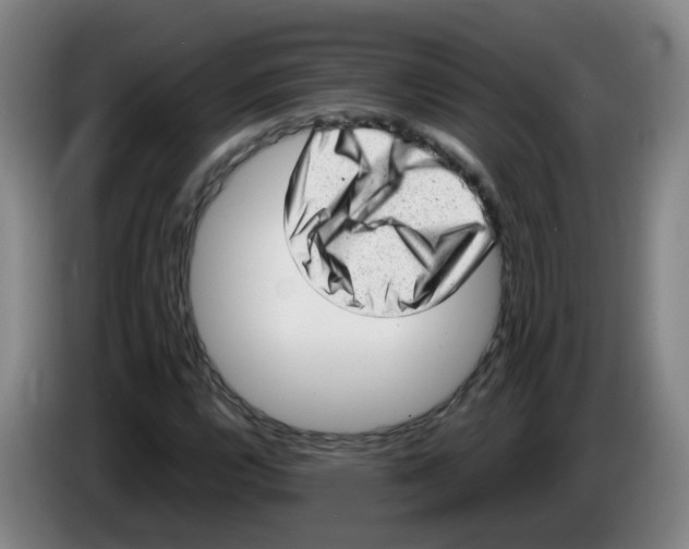 X0000085251112200703301804