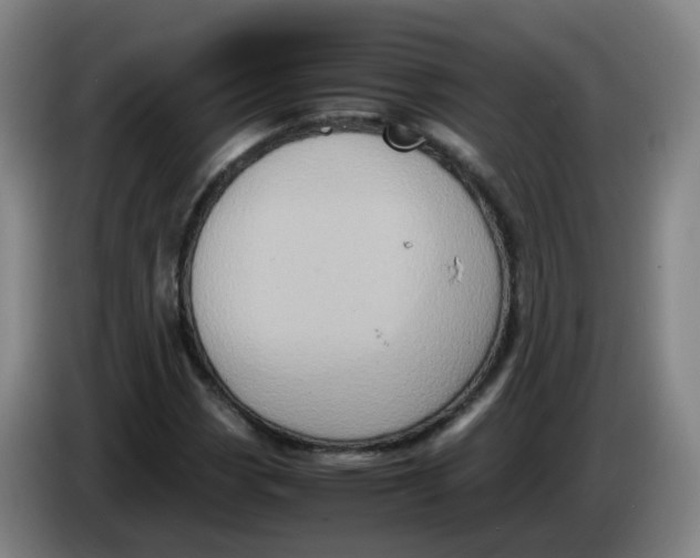 X0000085251113200703301804