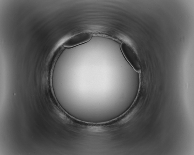 X0000085251114200703301804