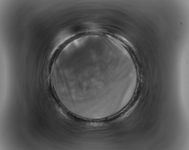 X0000085251117200703301804